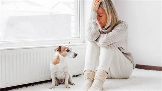 ¿Pueden los perros oler nuestro estrés? Aquí te lo contamos.