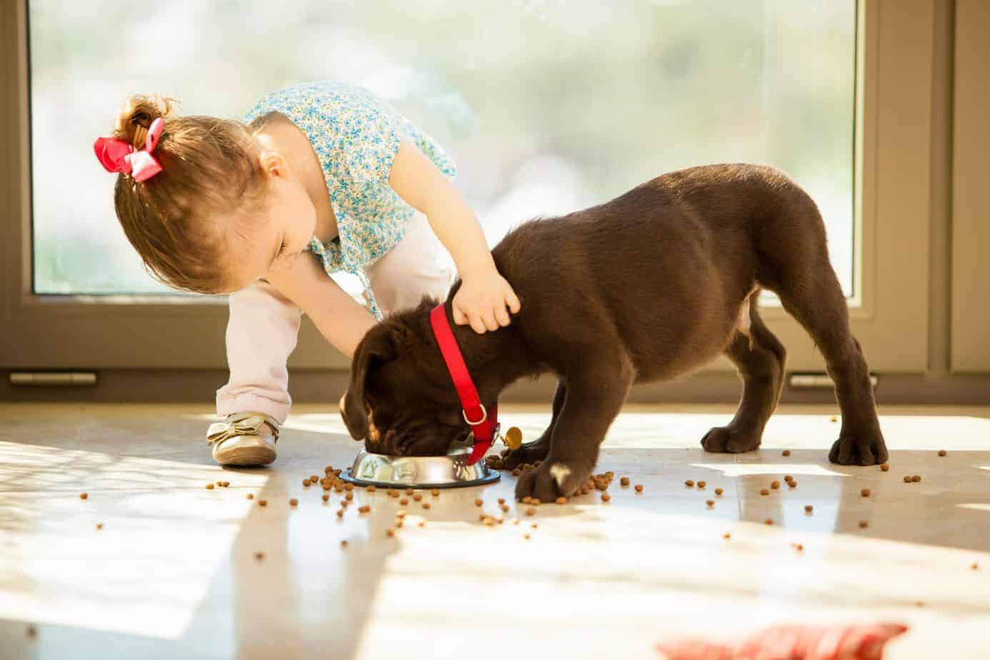 Vacaciones Seguras: Protege a Mascotas y Niños