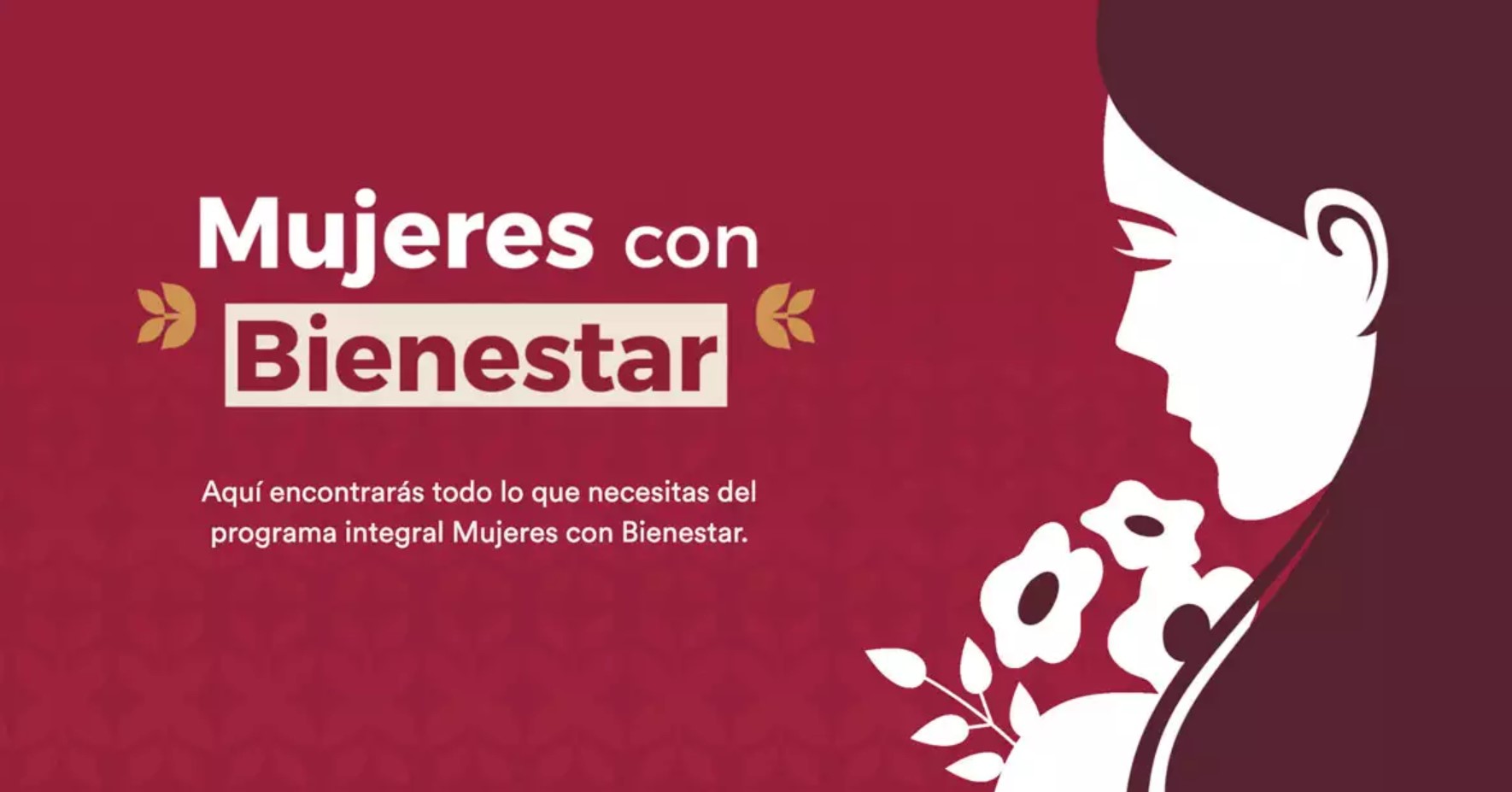 Mujeres con Bienestar: Apoyo para Mujeres del Estado de México