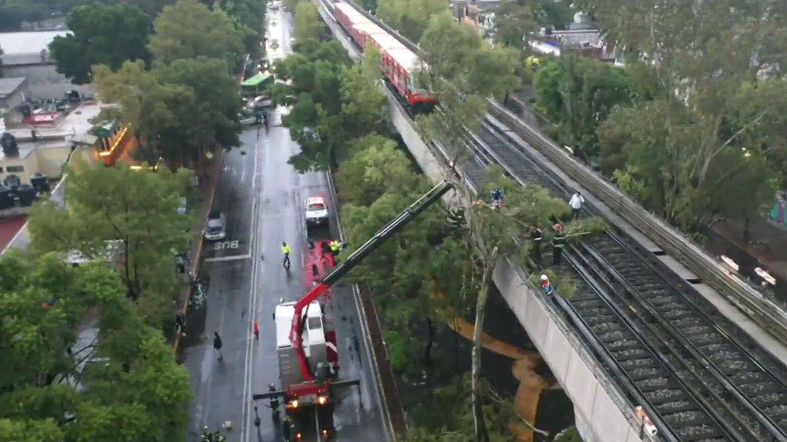 Servicio restablecido en Línea 4 del Metro CDMX tras incidente con árbol