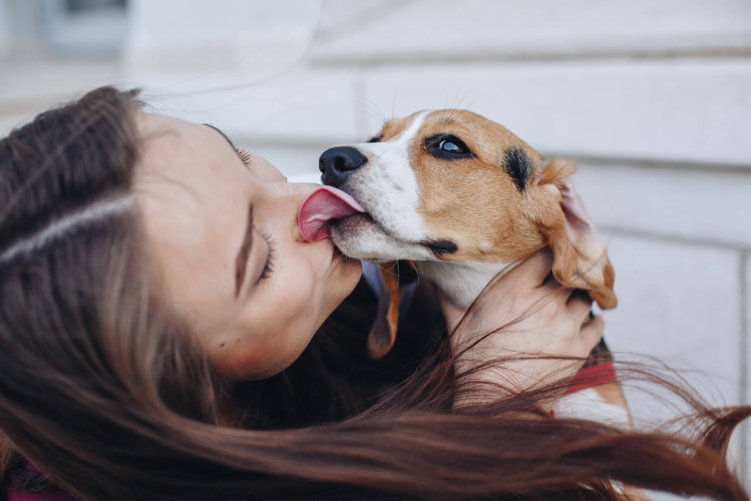 ¿Por qué no es bueno que los perritos nos den besos?