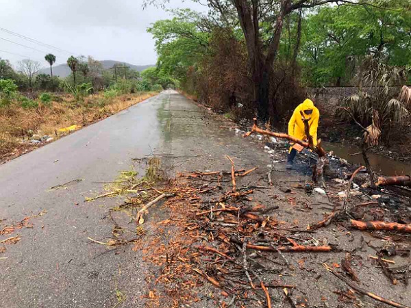 Estado de México Intensifica Mantenimiento de Carreteras Libres de Peaje: Prioridad en Seguridad Vial Durante la Temporada de Lluvias