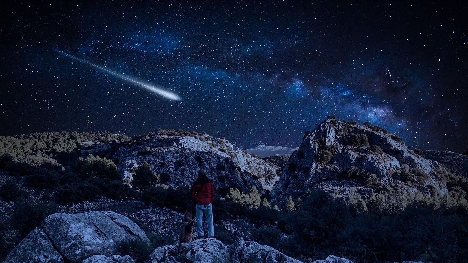 Lluvia de estrellas Perseidas 2024: Cuándo es y los mejores lugares de México para verla