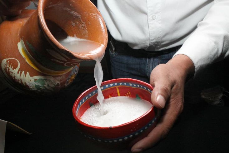 ¡Festival del Pulque, Gastronomía Típica y Mezcal 2024 en CDMX: Más de 200 Variedades de Mezcal Te Esperan!