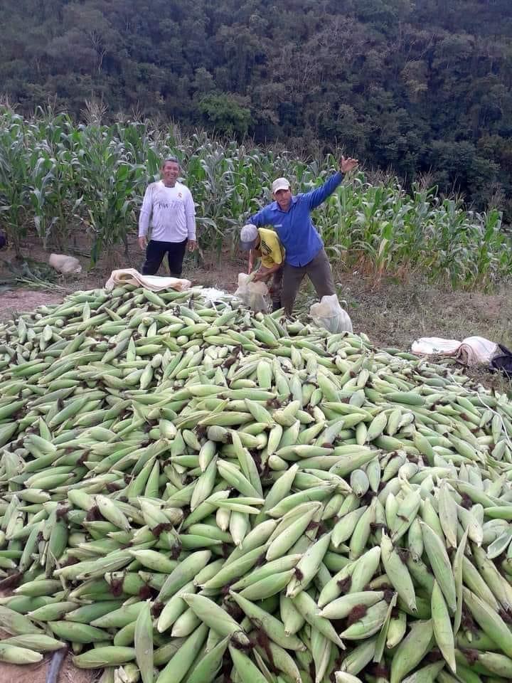 Autosuficiencia alimentaria, reto para Sheinbaum, alerta Álvaro López Ríos