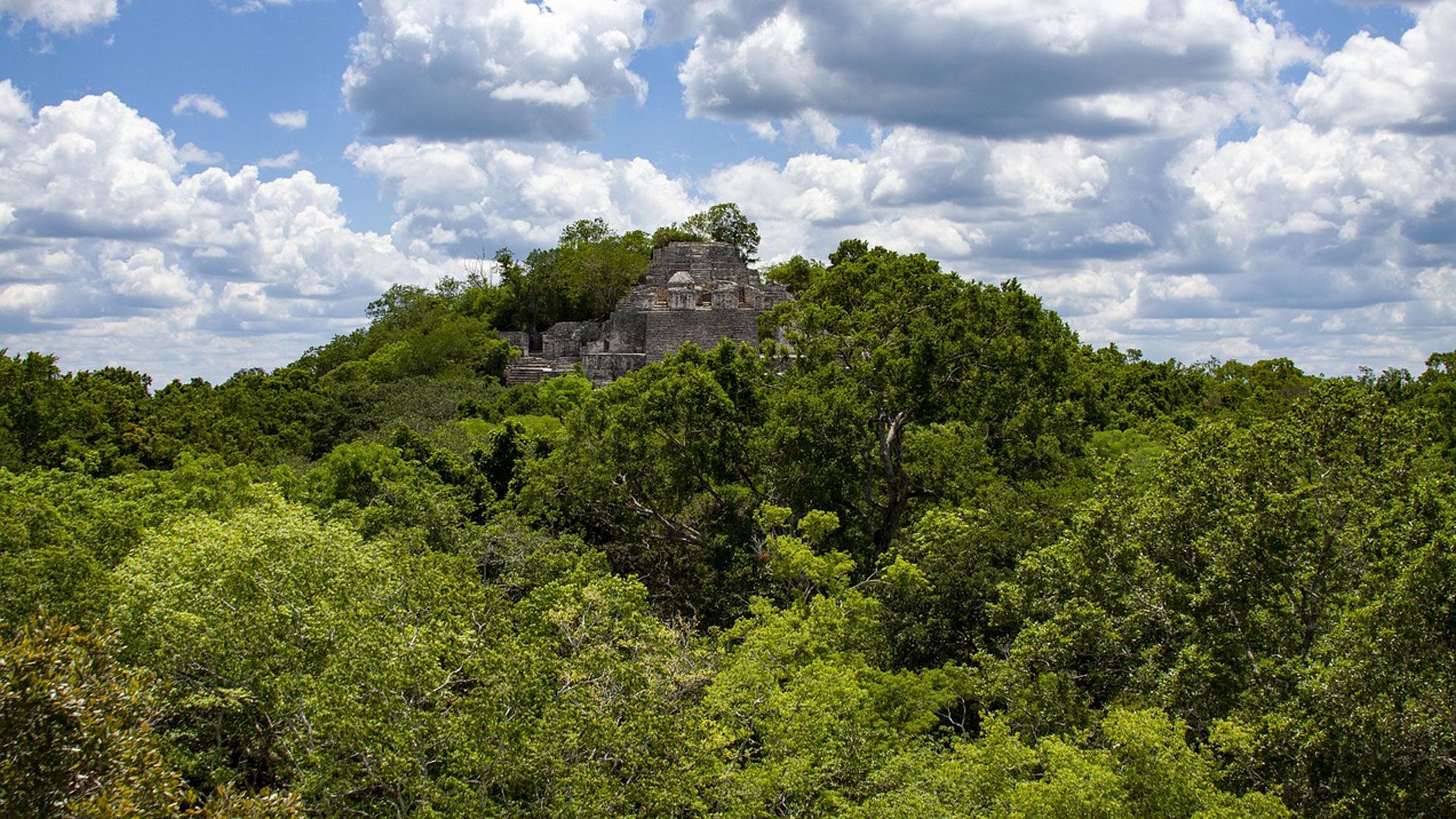 Arqueólogos descubren, “por casualidad”, una ciudad maya oculta bajo la densa vegetación en el estado de Campeche, México.