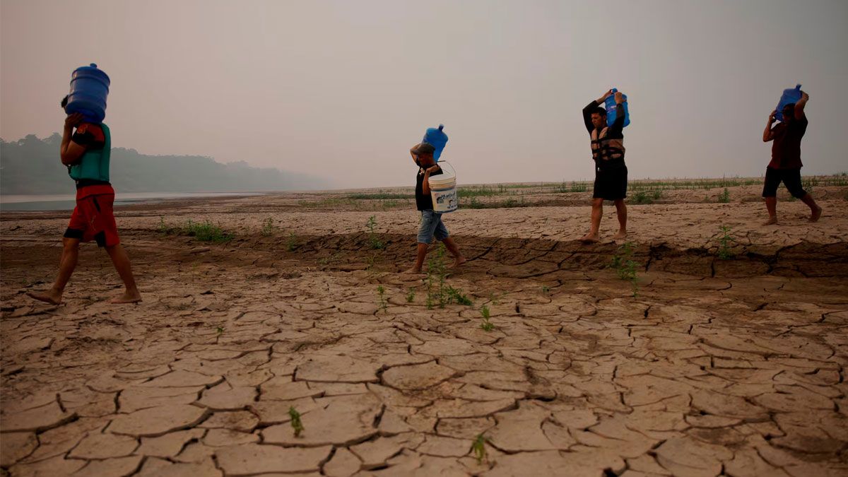 Crisis Hídrica en la Amazonía Brasileña: Ríos Alcanzan Mínimos Históricos