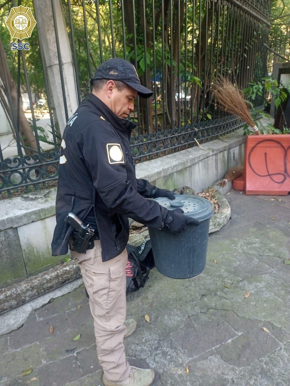 Encuentran víbora de cascabel en el Bosque de Chapultepec