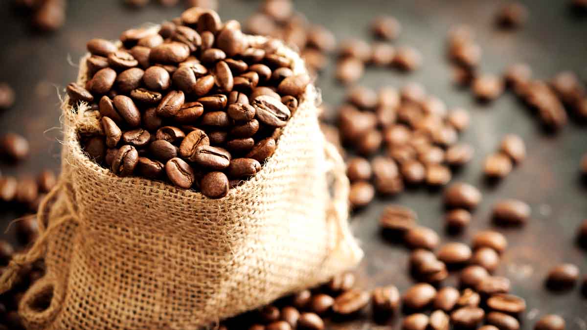 Día Internacional del Café: Los principales estados productores en México