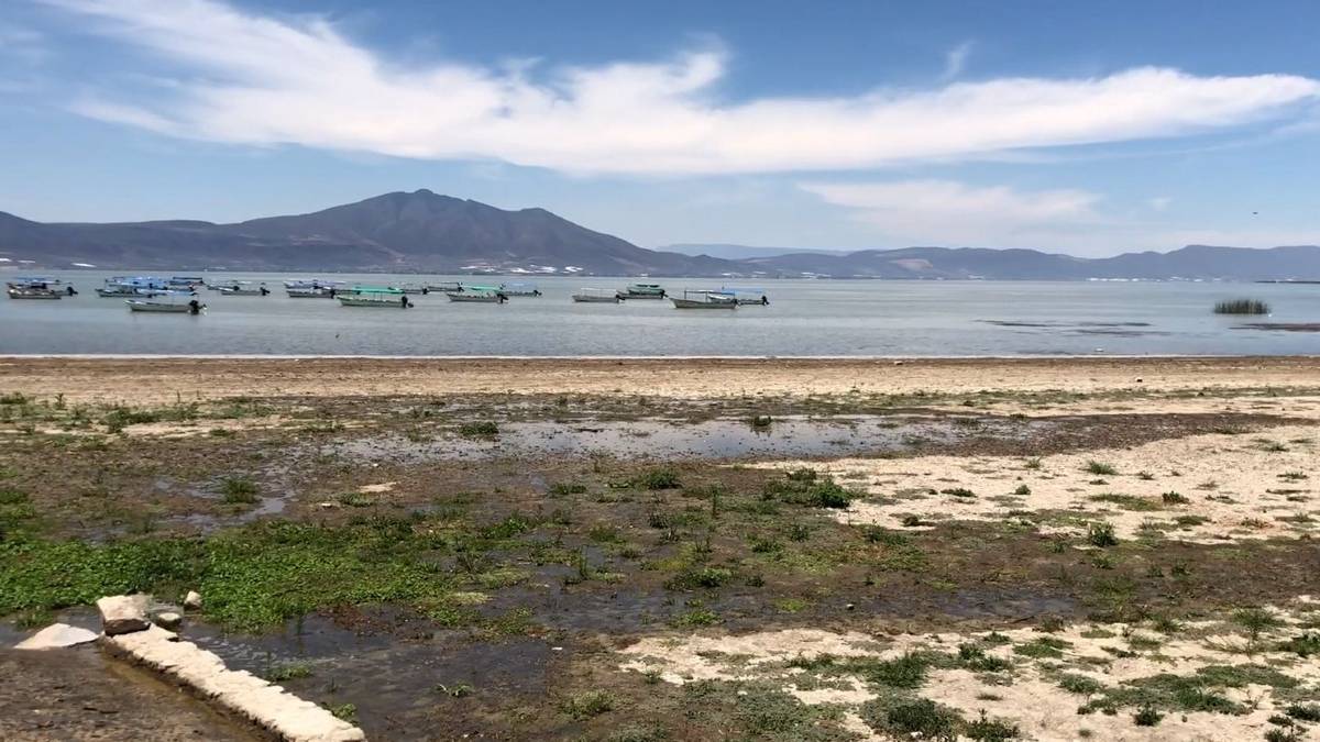 Lago de Chapala en crisis: acciones urgentes para recuperar la principal fuente de agua de Guadalajara