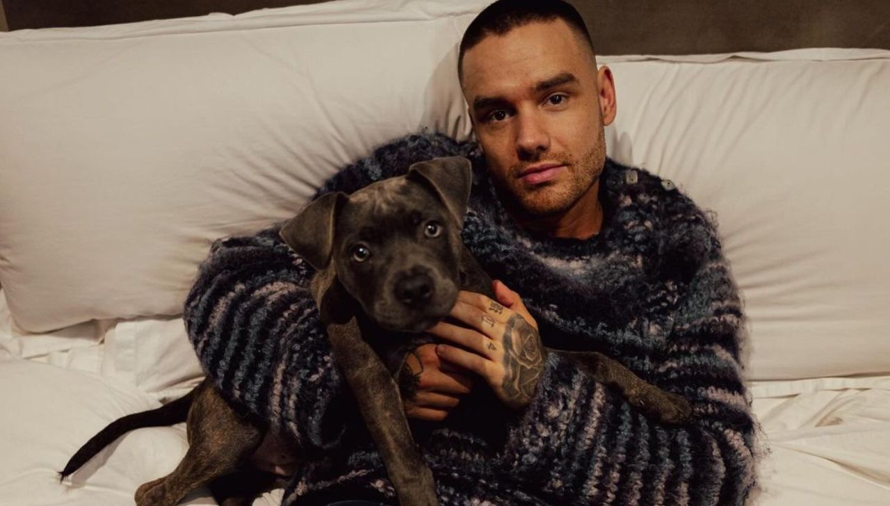 Lamentan la Muerte de Liam Payne, Ícono de One Direction