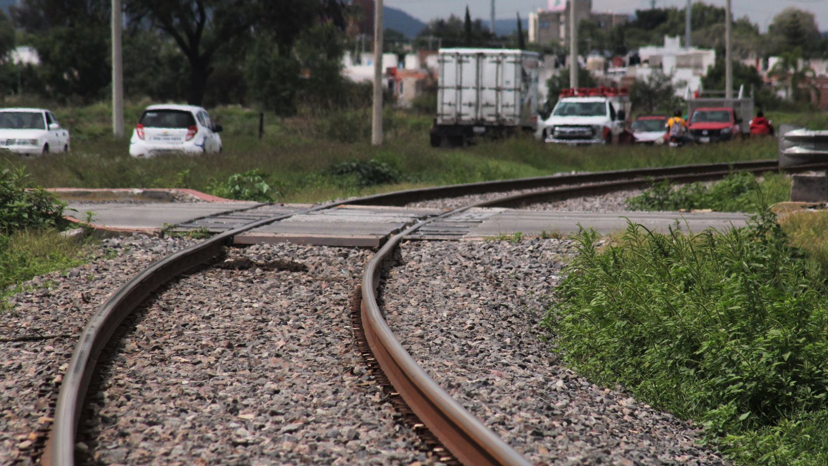 Hombre muere arrollado por tren en Silao al intentar subir a un vagón en movimiento