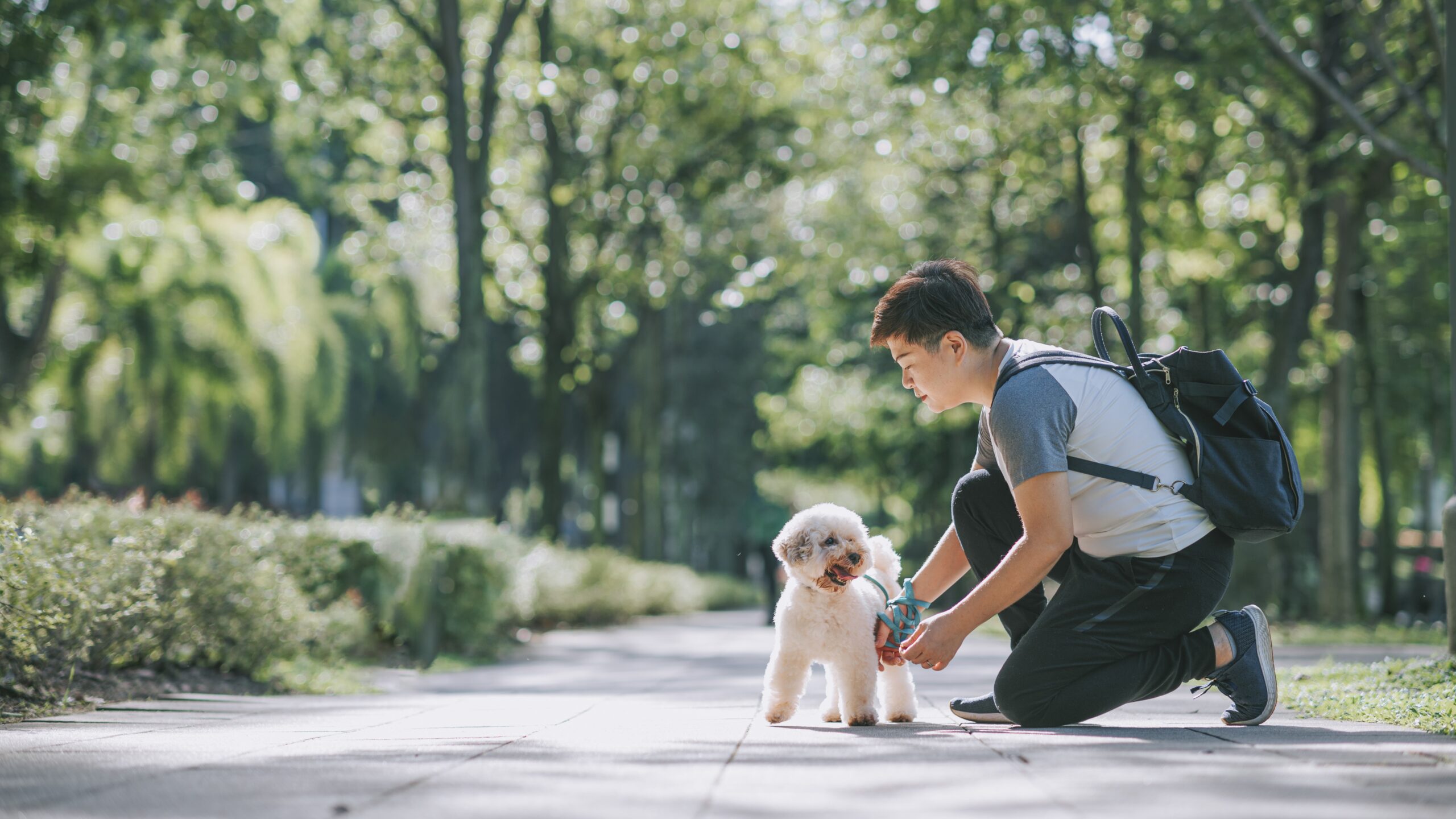 Todo lo que haces mal al pasear a tu perro, según un educador canino