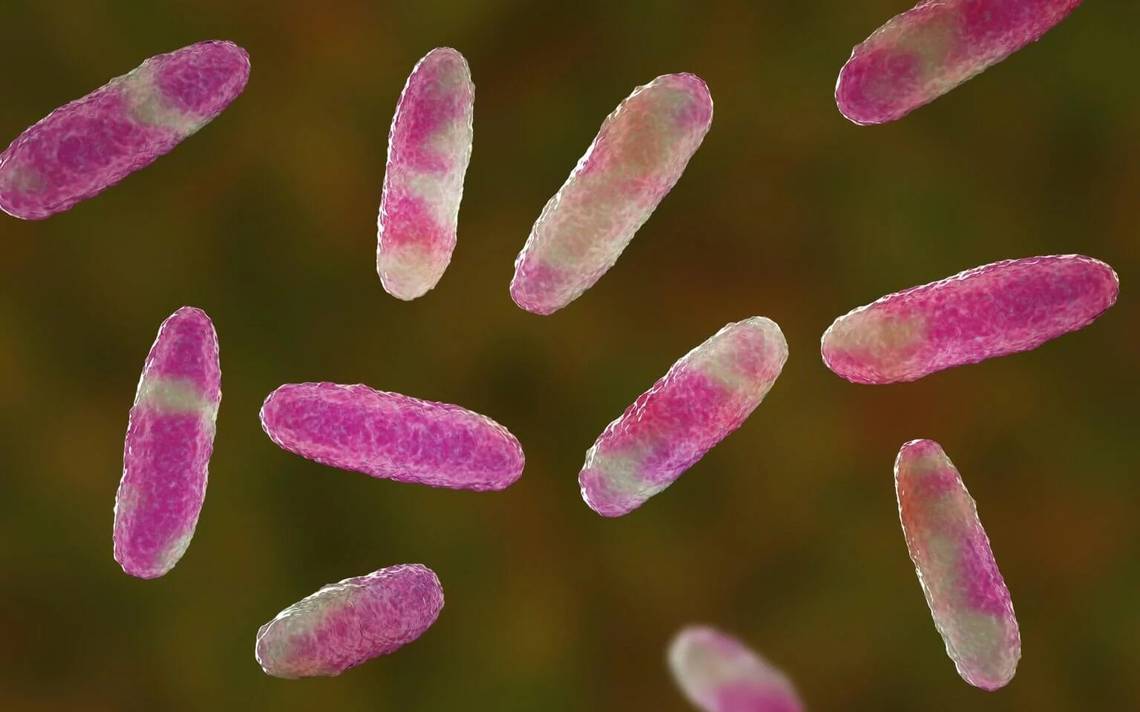 Alerta en Edomex: 13 muertes infantiles por brote de Klebsiella oxytoca