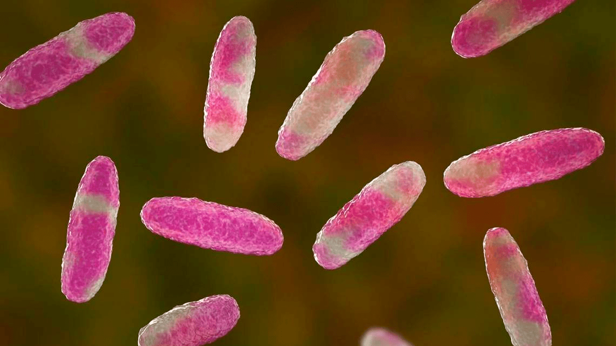 Estado de México Refuerza Vigilancia Sanitaria tras Brote de Klebsiella oxytoca