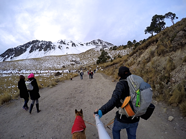 El Nevado de Toluca y su compromiso con la conservación: sin mascotas