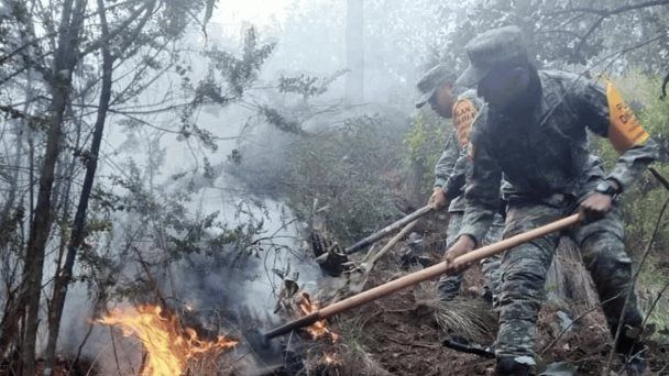 Incendio forestal en Perote, Veracruz es sofocado al 100% por la Defensa