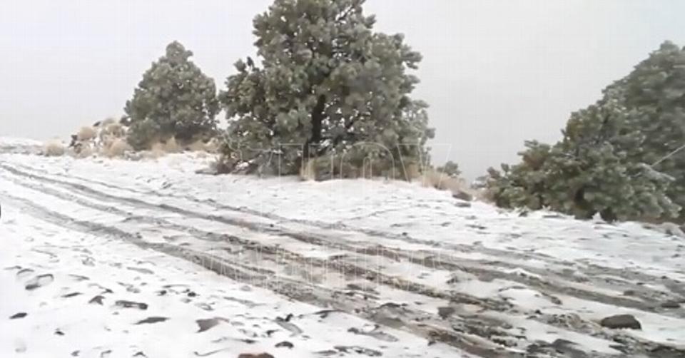 Nevadas sorprenden en Hidalgo y Veracruz: siete muertos por el frío extremo